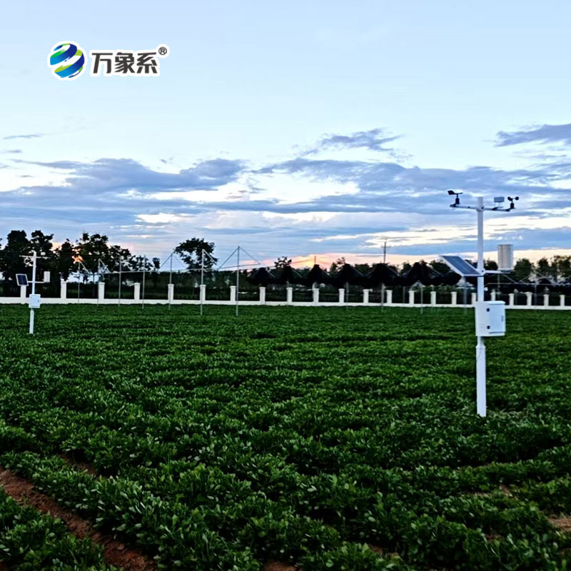 農(nóng)業(yè)環(huán)境氣象監(jiān)測站在特色農(nóng)業(yè)中的應用實踐